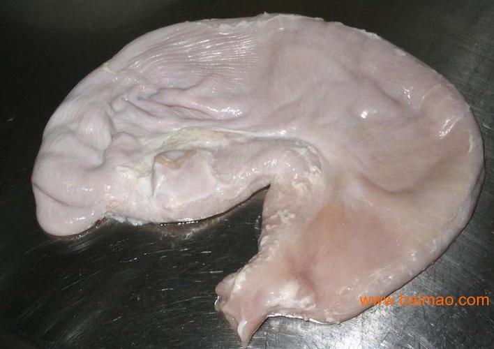 冷冻鸭 冷冻鹅 冷冻猪 冷冻牛 冷冻羊 鱼类  公司主要经营产品,鸡副